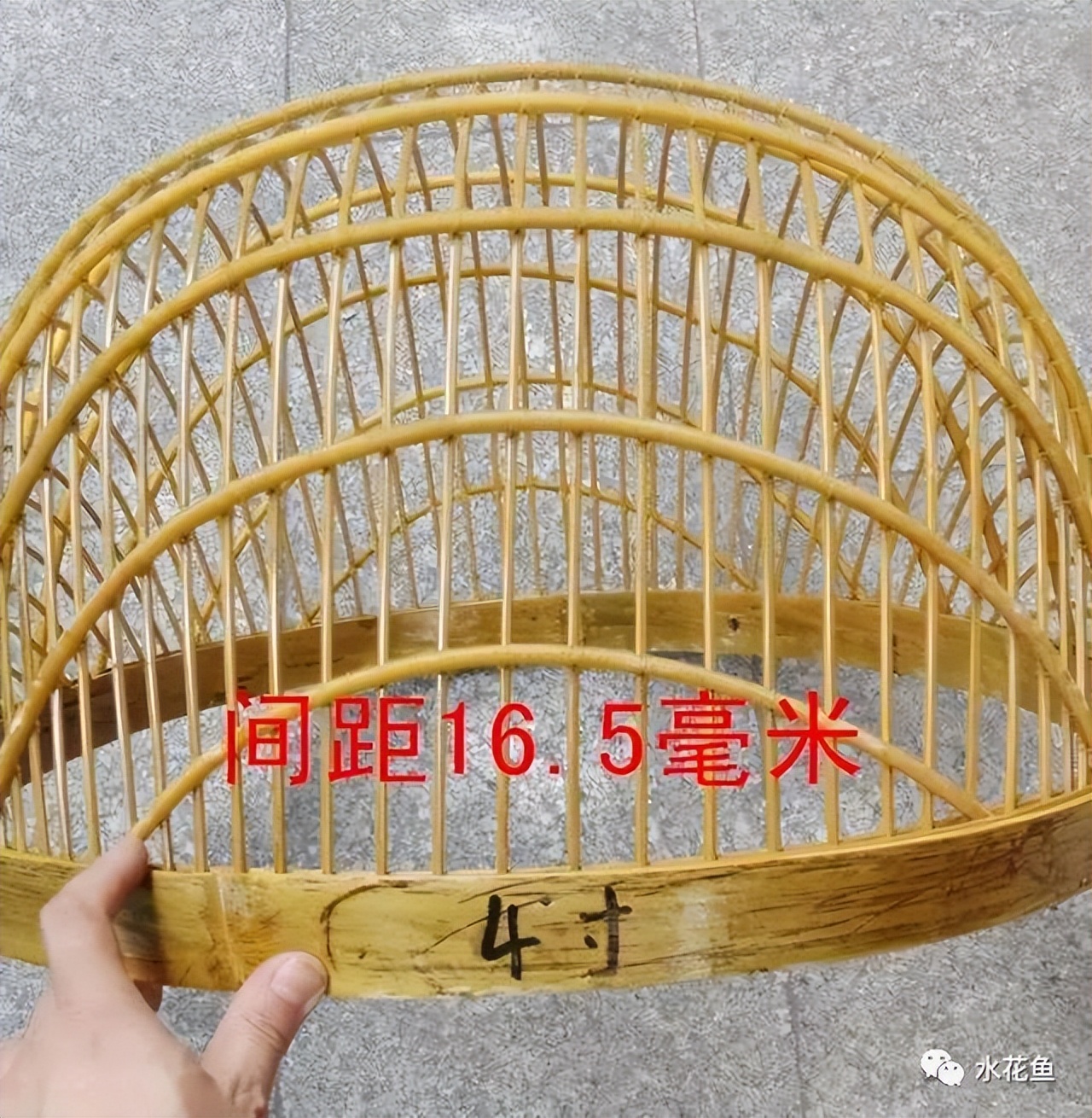 筛鱼神器小筛,4厘米宽的鱼筛可以筛多大的鱼