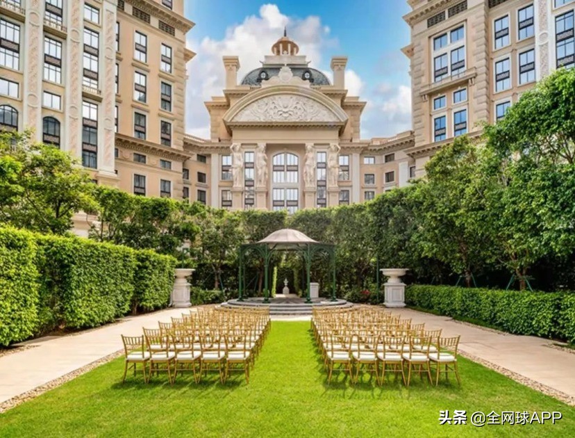 顶尖体育网球公开赛,顶级赛事完整版