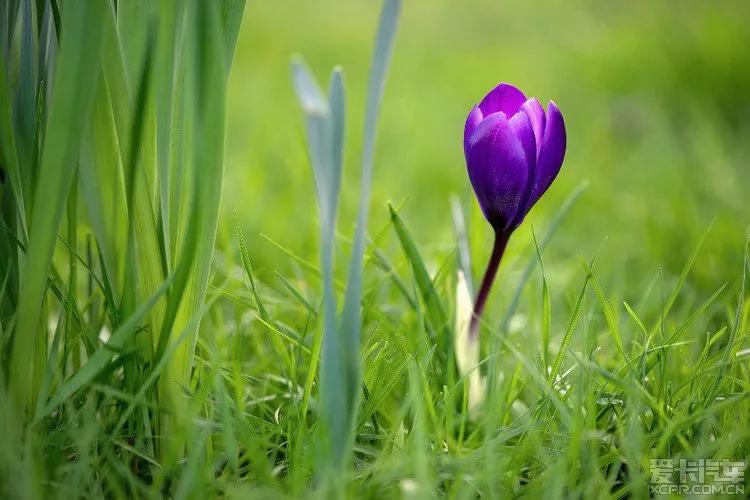 时光荏苒岁月如梭莫要蹉跎岁月,时光荏苒岁月如梭的唯美句子