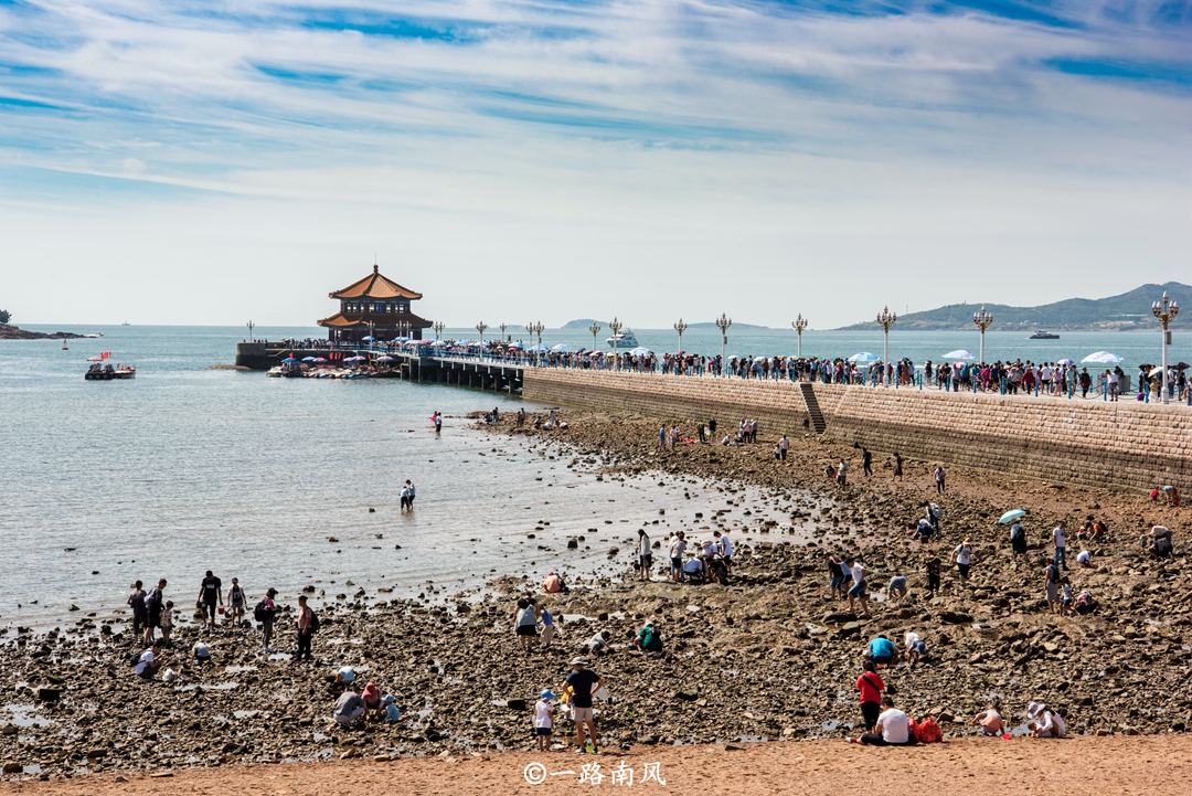 青岛开发区旅游景点攻略,青岛旅游景点门票