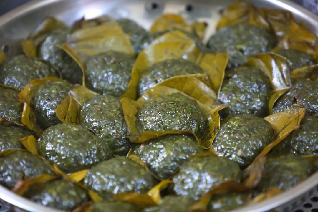 大湾区之珠海篇,2023优秀华裔大学生走进大湾区