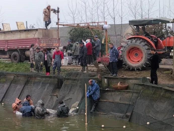 农民不出门打工能干什么养家,农民全都不出去打工怎么办