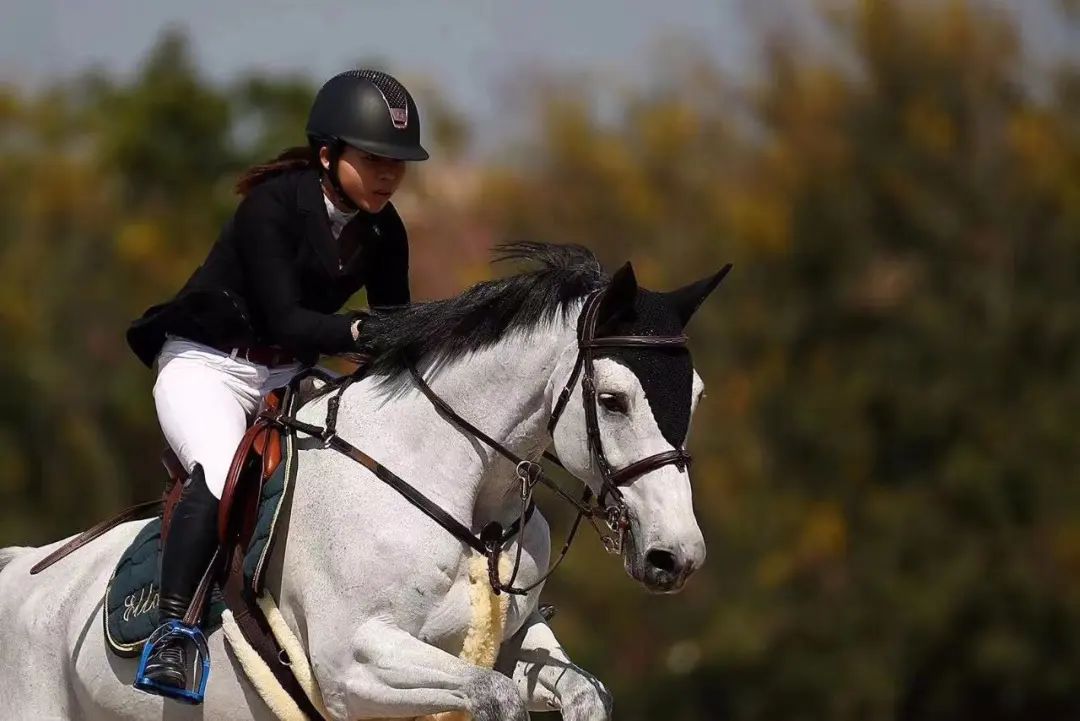 为什么马术的女生多,为什么女性骑手越来越多