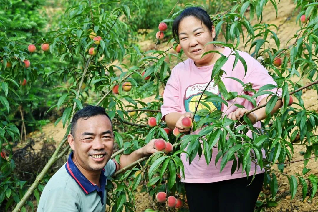 一对夫妻回乡开农场,一对夫妻回乡种田
