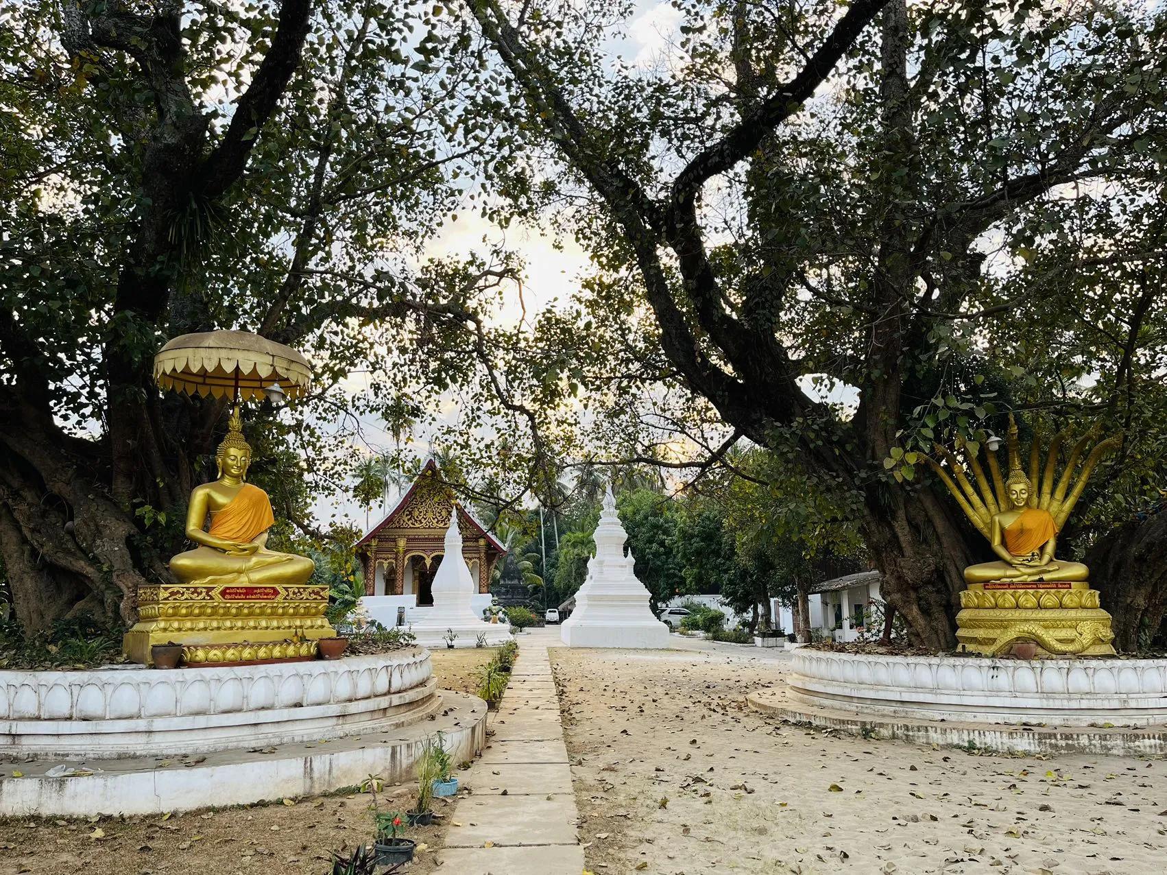 昆明出发老挝自驾游,昆明自驾老挝超详细攻略