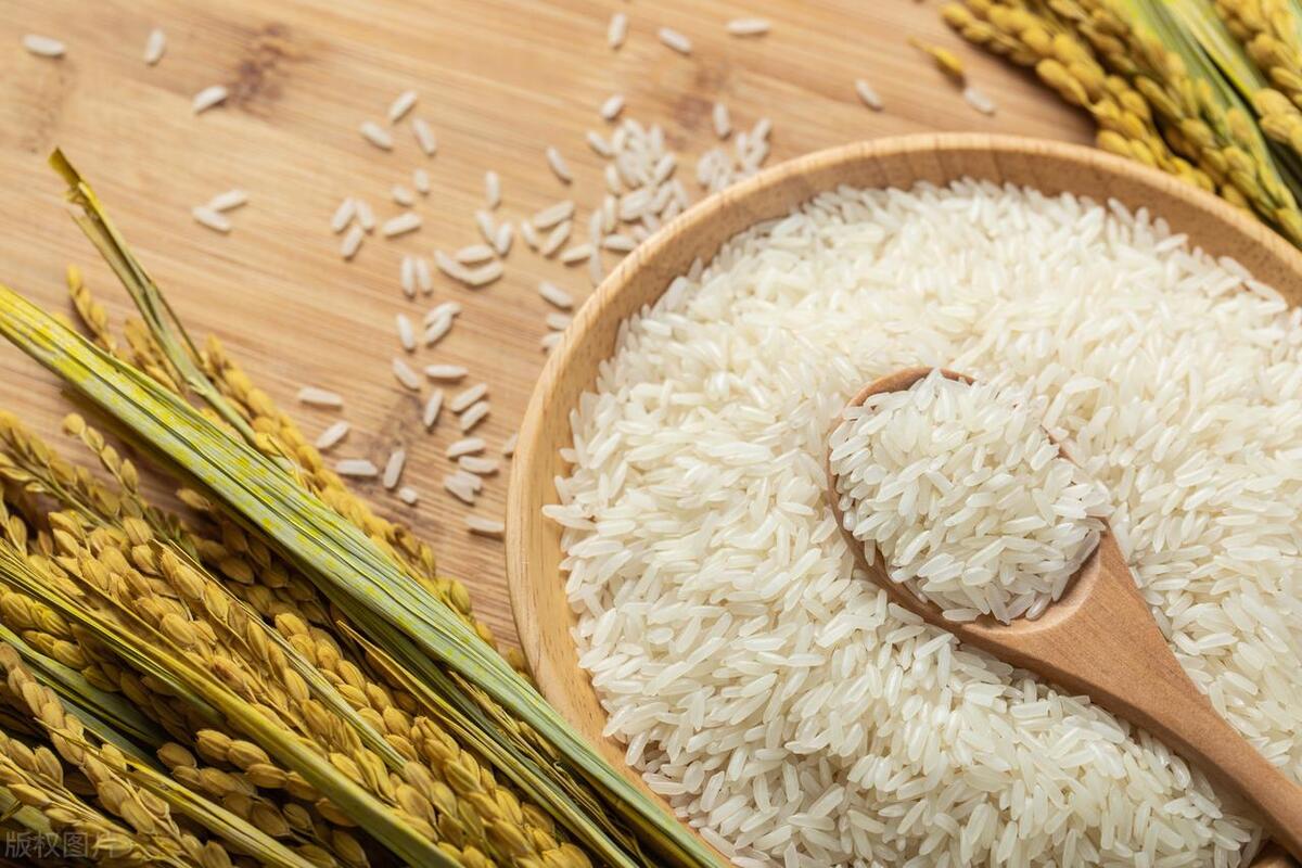 7月5号生肖马运势如何,生肖马每日运势大全