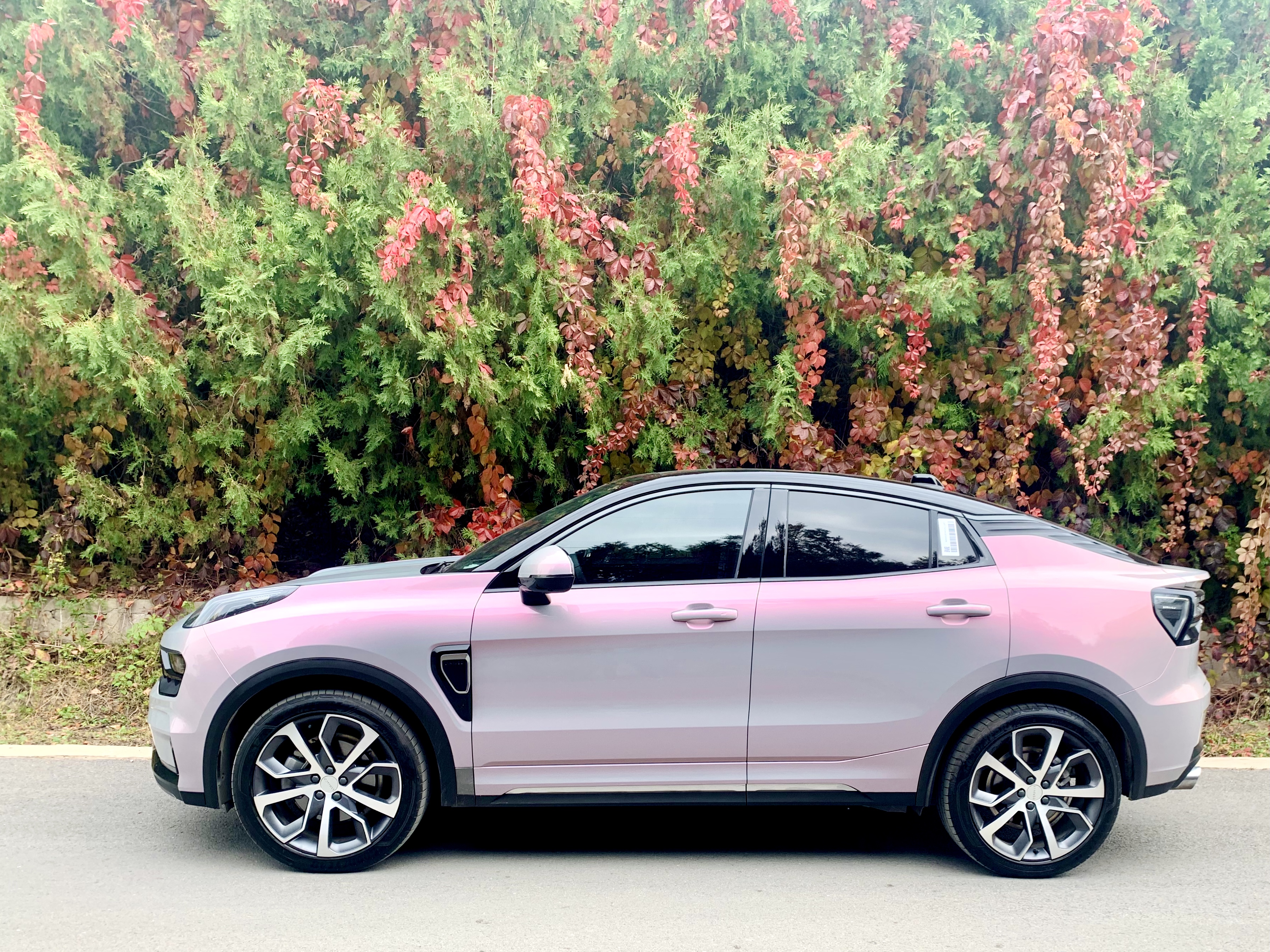 车贴膜改色需要什么手续,贴膜改色到底该不该学