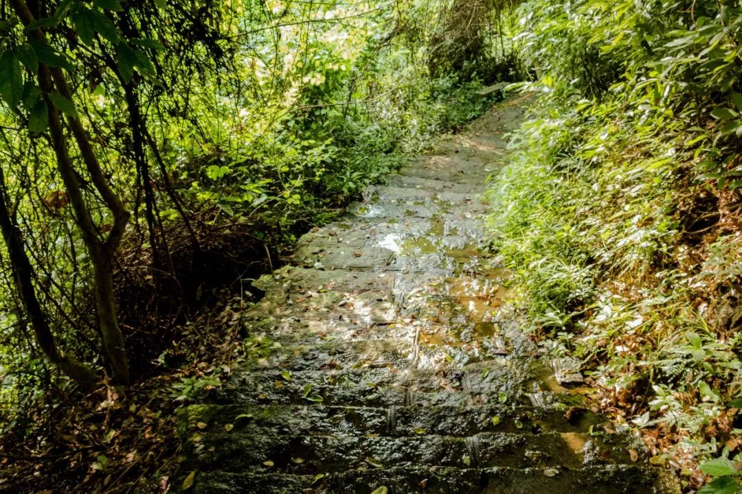 深圳瀑布在哪里,深圳有瀑布的地方有哪些