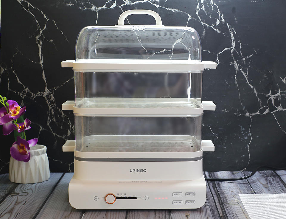 透明电蒸锅有必要买吗,不锈钢电蒸锅和透明电蒸锅哪个好