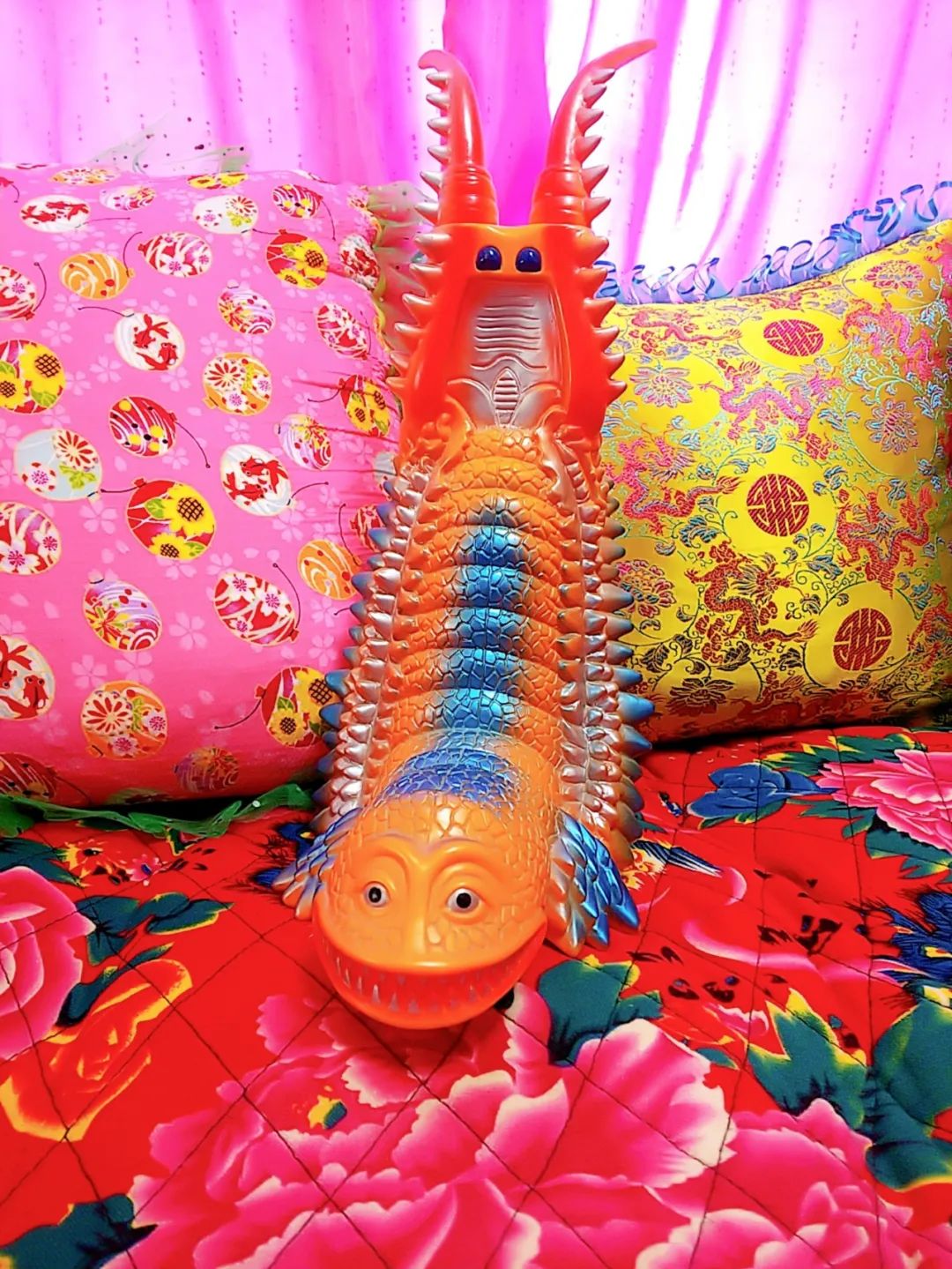 日本妹子迷上中国男明星,日本妹子迷上中国装