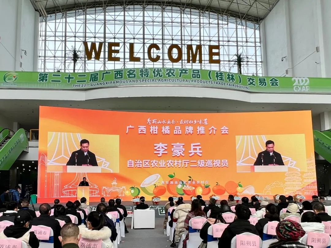 广西沃柑十大最甜柑橘,广西南宁柑橘类水果大量上市