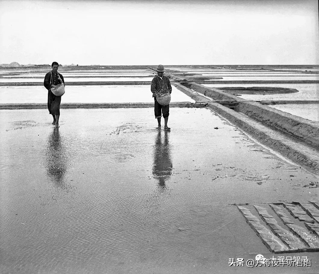 万里追踪纪录片完整版,1937年万里猎影记