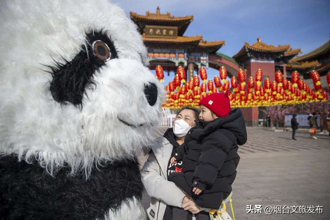 烟台山灯会庙会一日游,烟台南山景区有什么活动