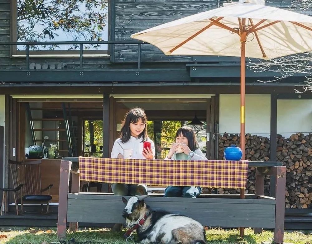 鏃ユ湰涓夎儙,鏃ユ湰涓夎儙瀹跺涵