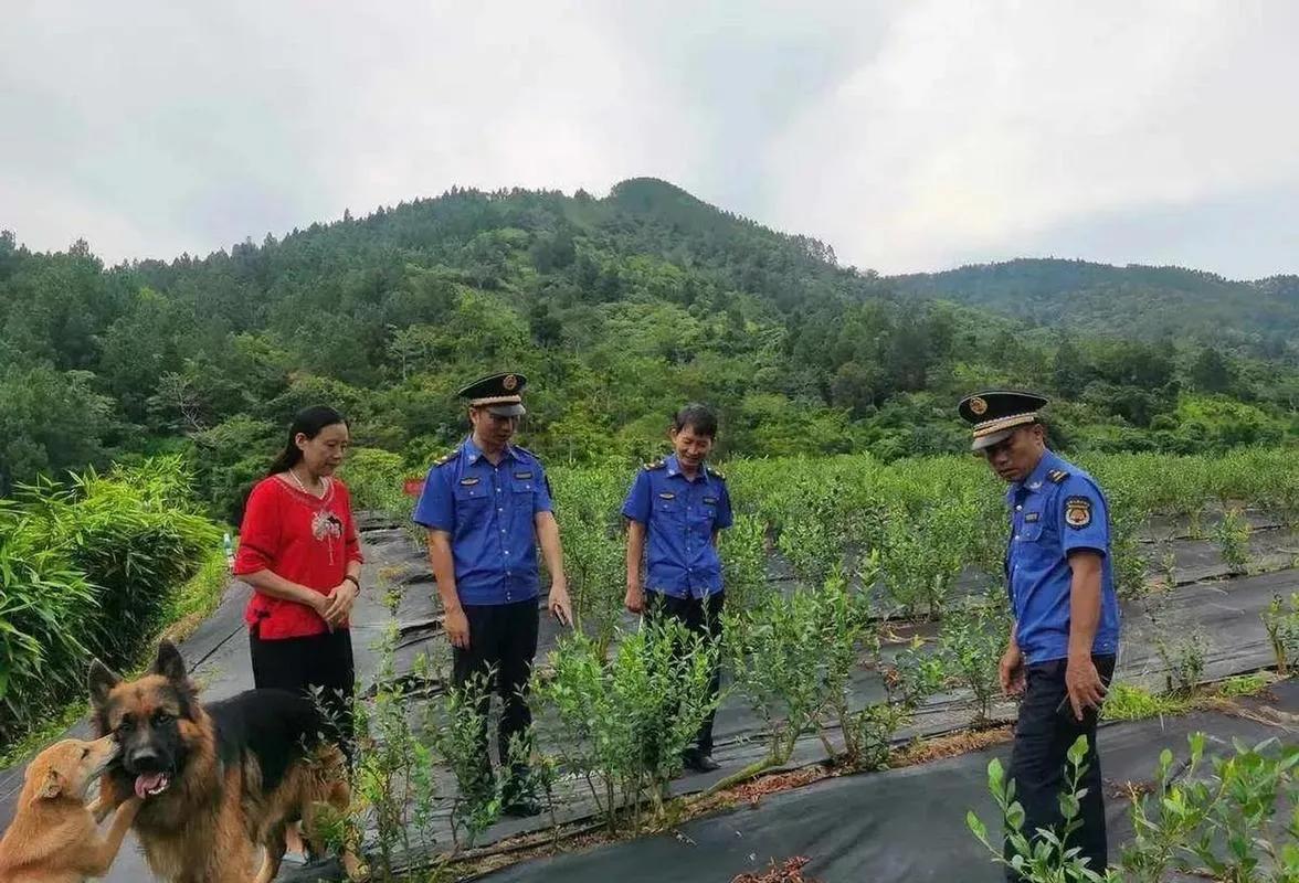 农业农村部新规不落实到地方吗,农业部对农村有哪些规定