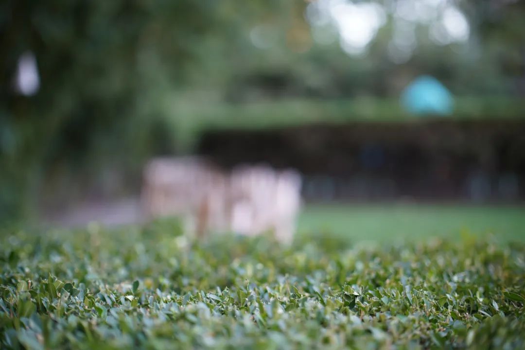 森养af35mmf18fe开箱体验,森养50mmf1.4二代锐度