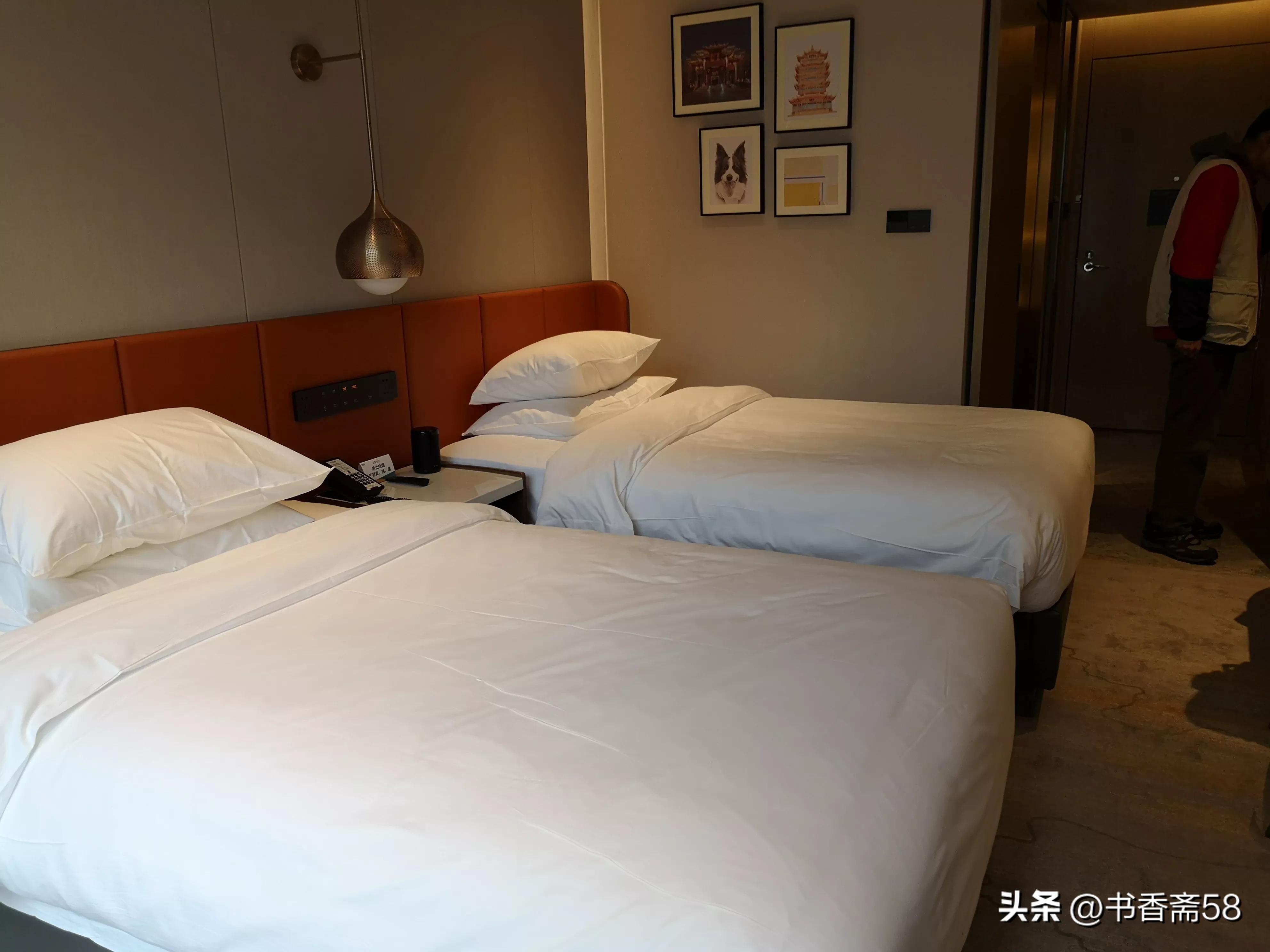 武汉赏樱一日游,武汉赏樱攻略2天1夜人均500