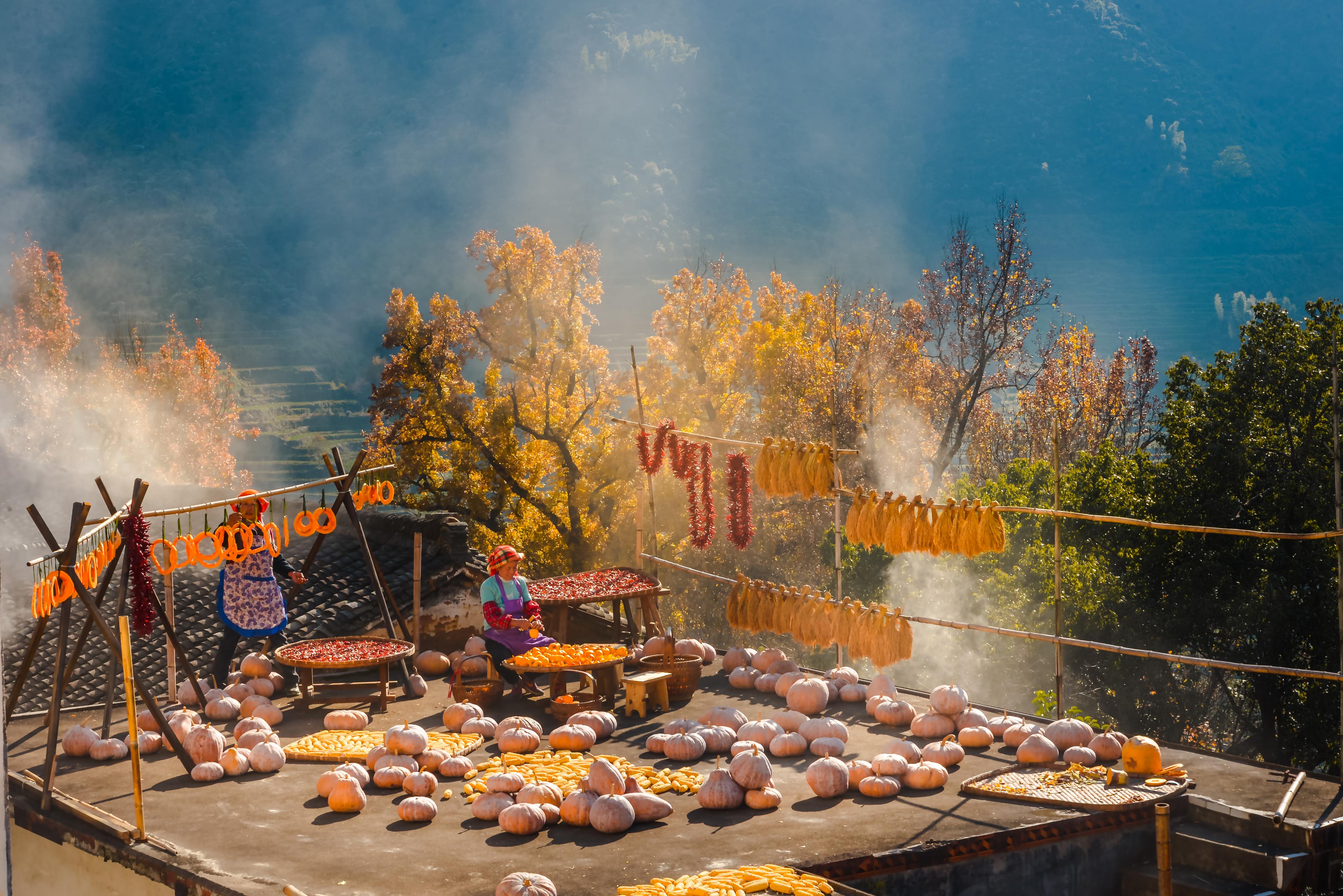 抖音集团都在干什么,34件事