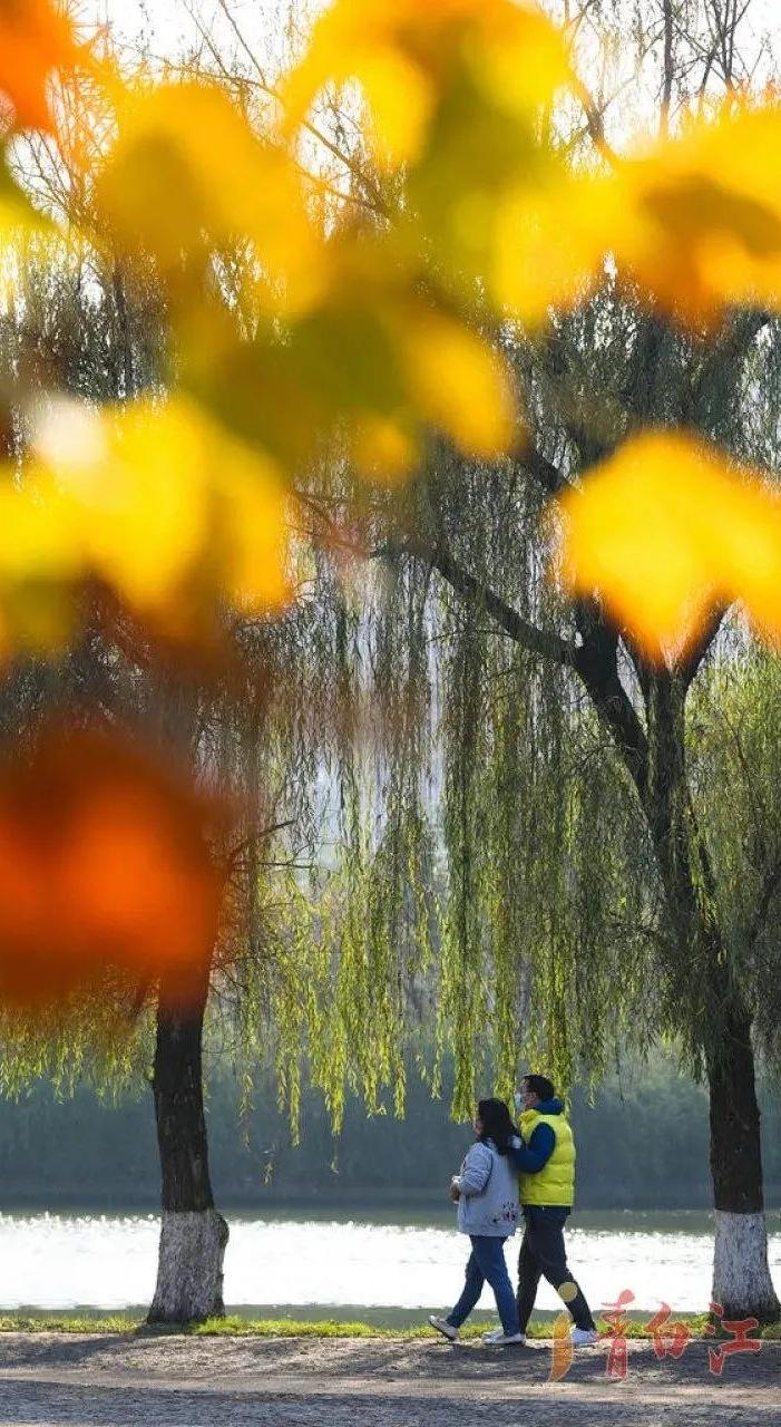 春暖花开运动好时节,春暖花开该开始运动了