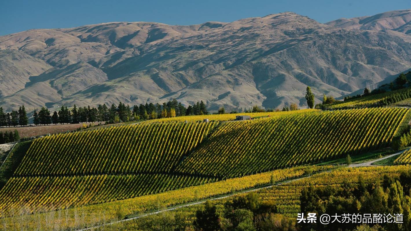 新西兰顶级白葡萄酒,新西兰云海湾葡萄酒价格13度