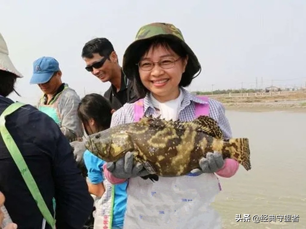 台湾石斑鱼进口对大陆什么影响,台湾石斑鱼禁售原因