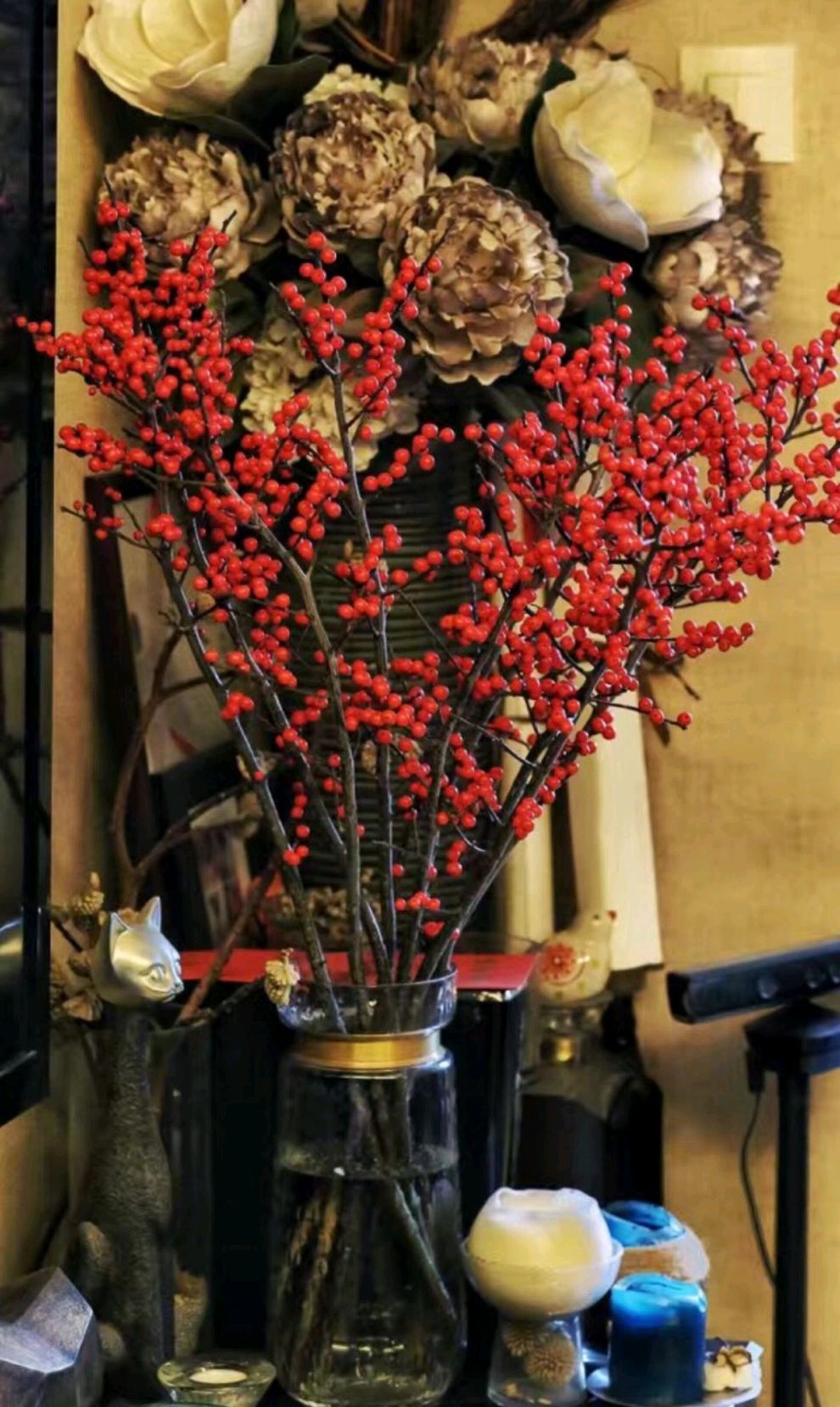 6种年宵花现在买最省钱,年宵花怎么养才旺财