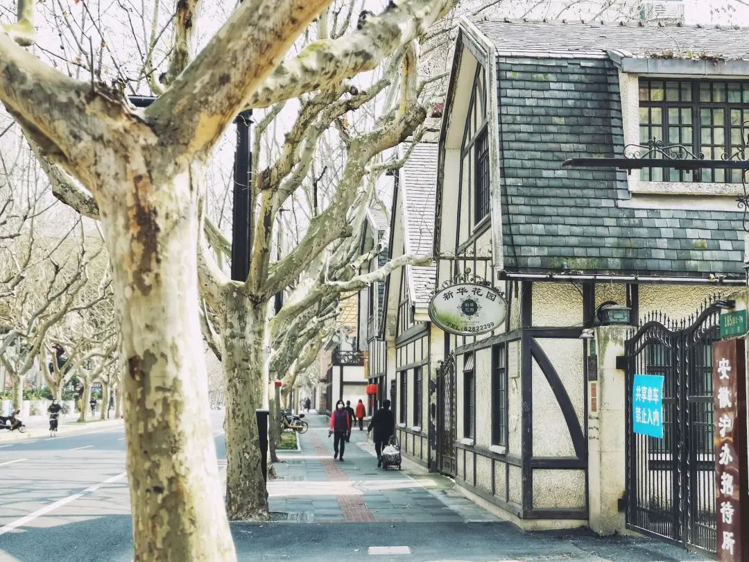 纽诺教育集团现状,纽诺教育背后的风投