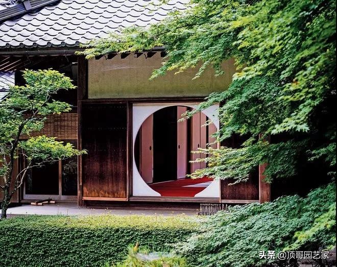 庭院中种什么树最好,庭院栽什么树最旺宅