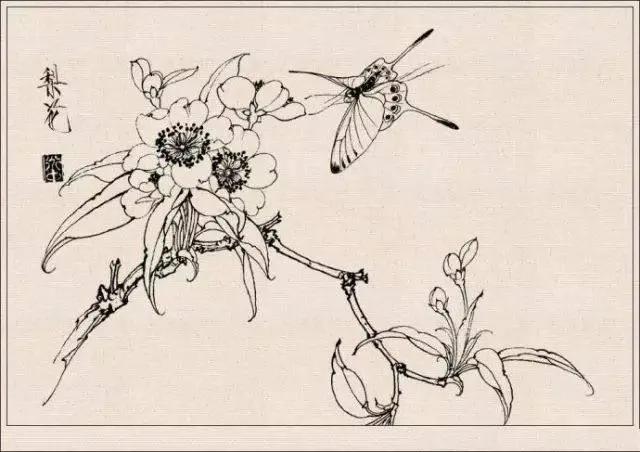 工笔草虫白描王道中,写意花鸟画草虫绘画过程分享