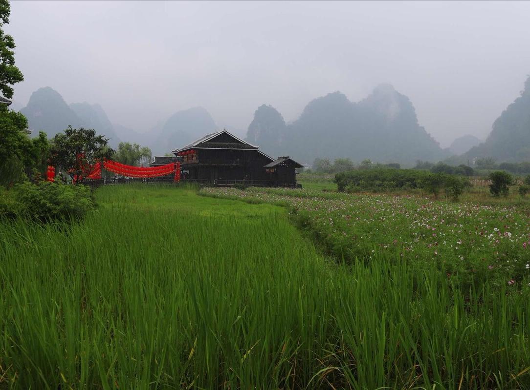 陶渊明诗中的桃花源在哪,陶渊明桃花源记中的桃源