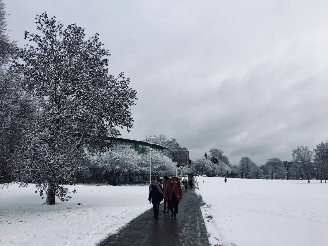 生活在瑞典的真实感受,在瑞典生活的日常