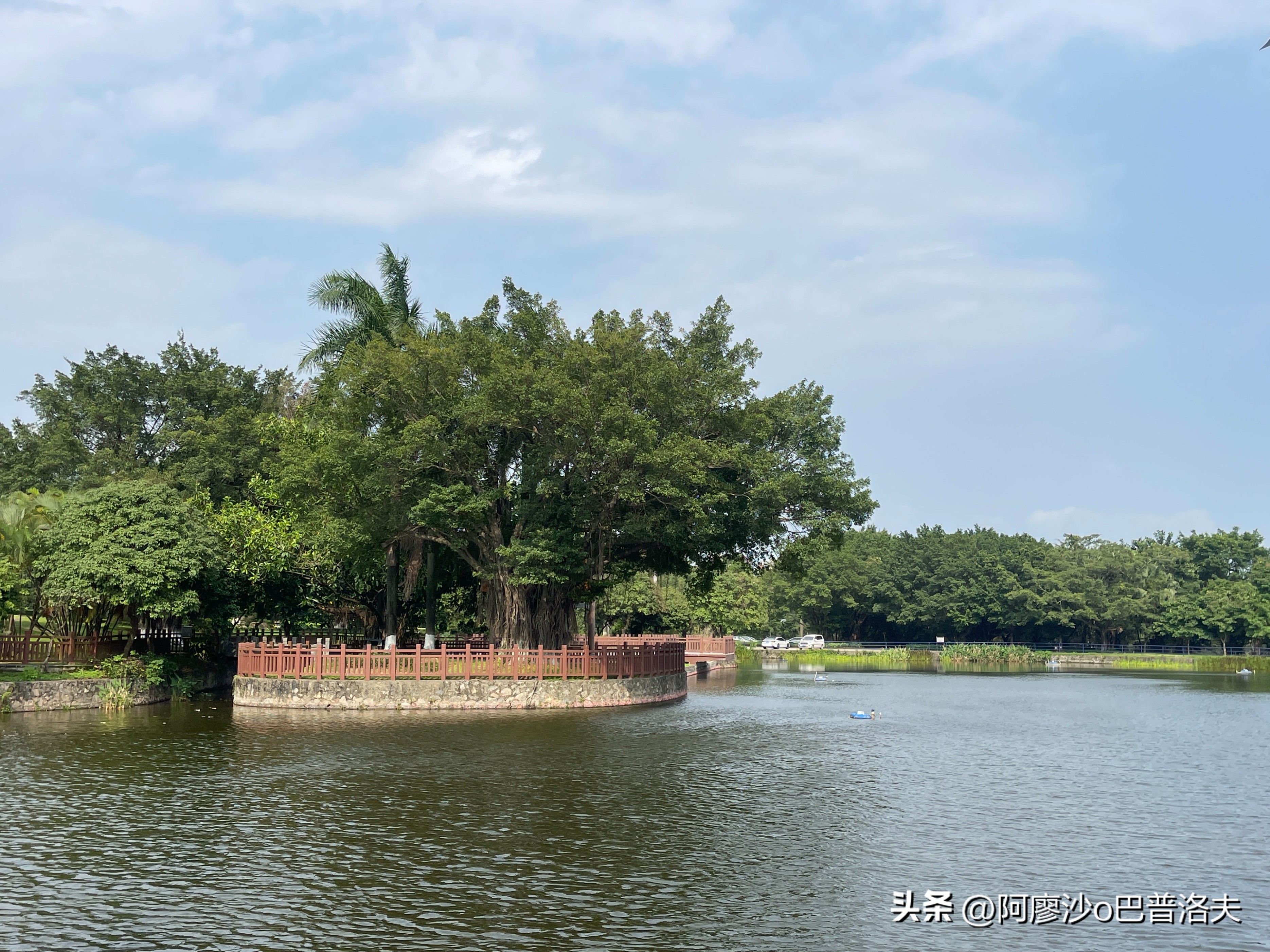 苹果12pm拍摄视频比12更好吗,佳能550d和iphone14拍摄对比