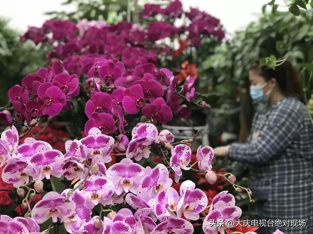 烟火气更旺新年味更浓,年味在“烟火气”中升腾