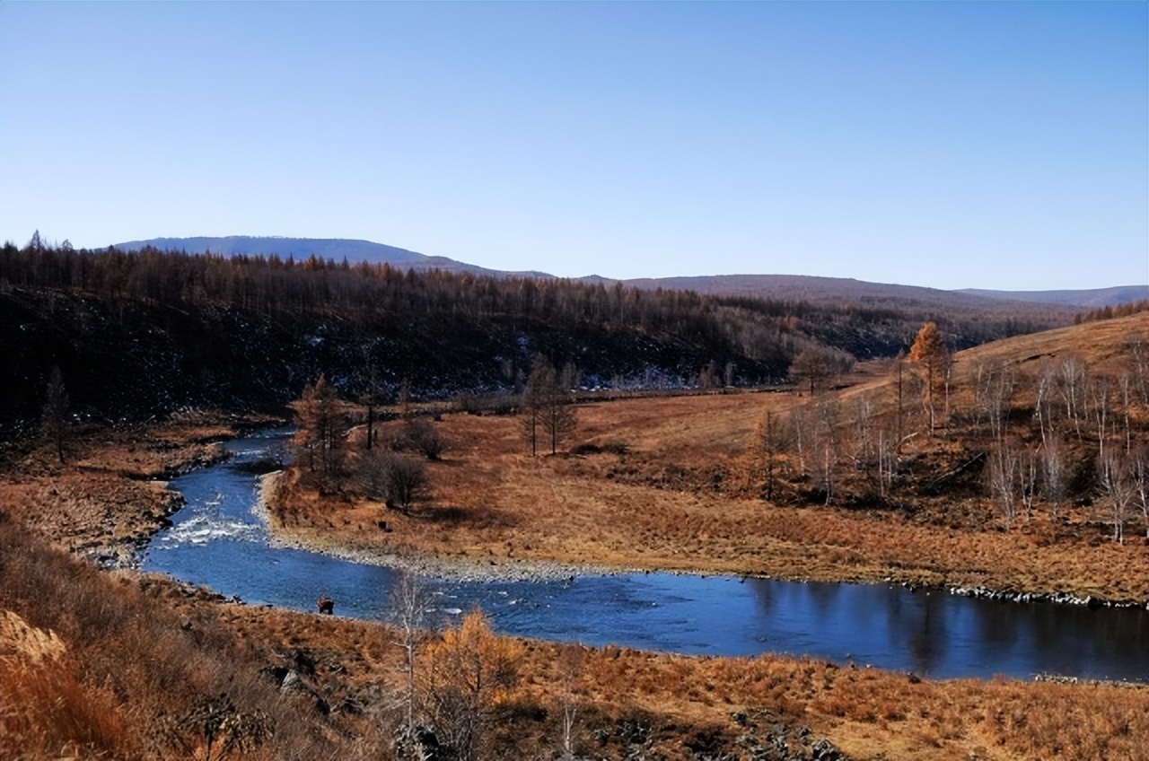 来自塔里木《塔河文苑》：睡着的胡杨