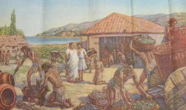 17世纪荷兰殖民情况,17世纪荷兰和英国