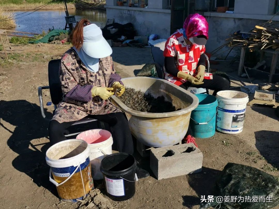 螃蟹怎么养才认人,养螃蟹的十大忌讳