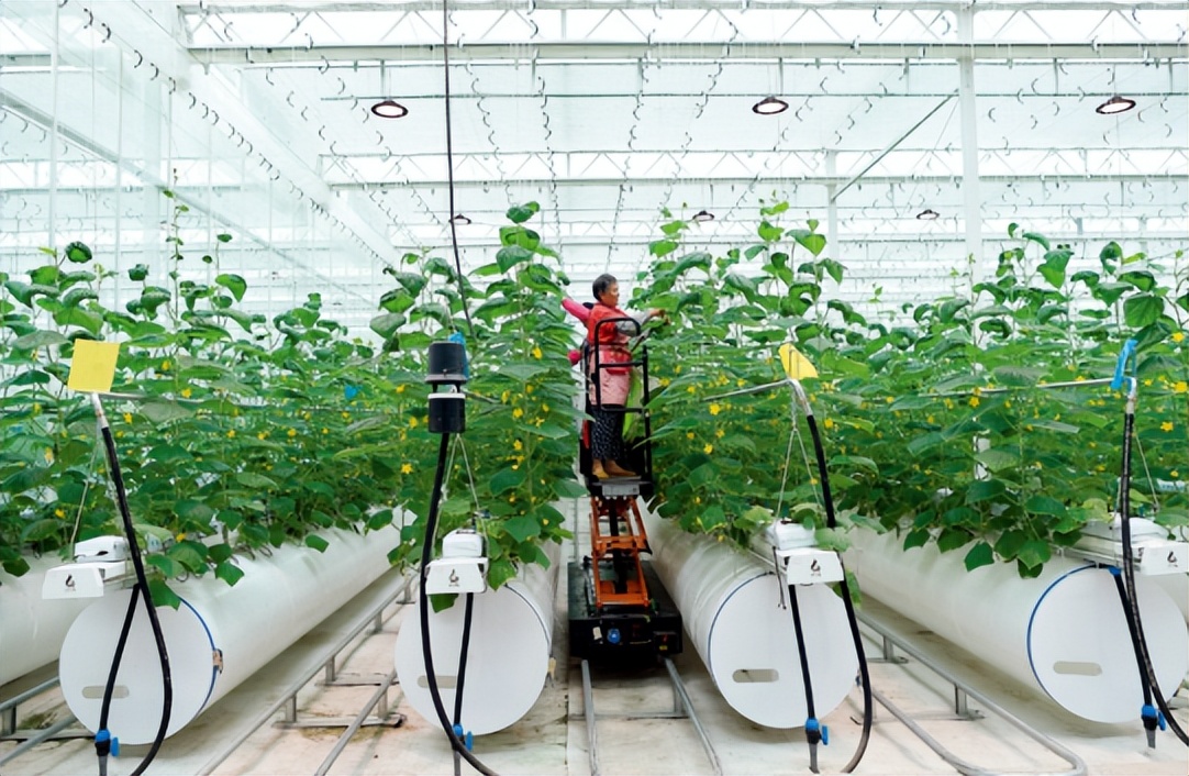 农业产业周报｜百果园、神农、叮咚买菜、中联重科、盒马最新动态