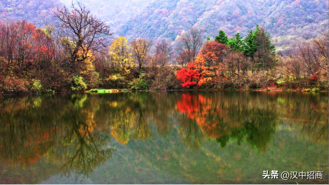 投资旅游项目合作方案,投资项目2024