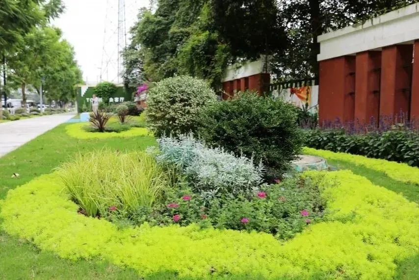 新津最繁华商业街,新津最美街道