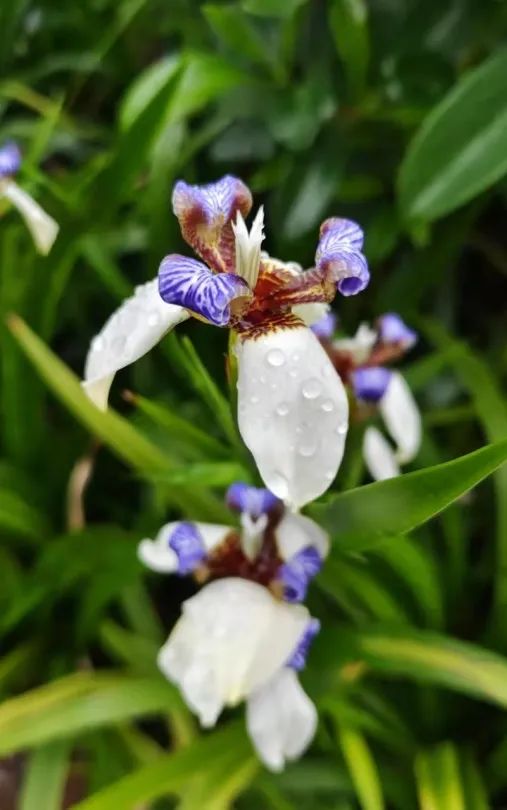 深圳宝安图书馆最新开放时间,深圳罗湖区图书馆什么时候开放