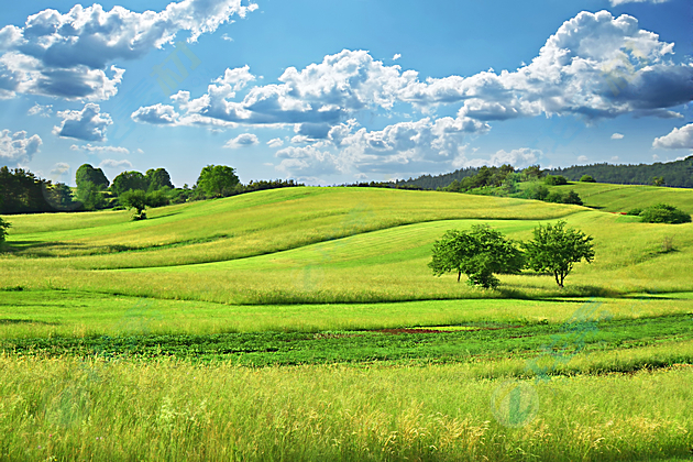 敕勒歌诗词正确读法,敕勒歌诗词的正确读音