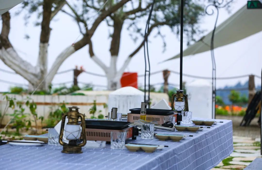 踏青露营地推荐,空港花田古朴森林露营地