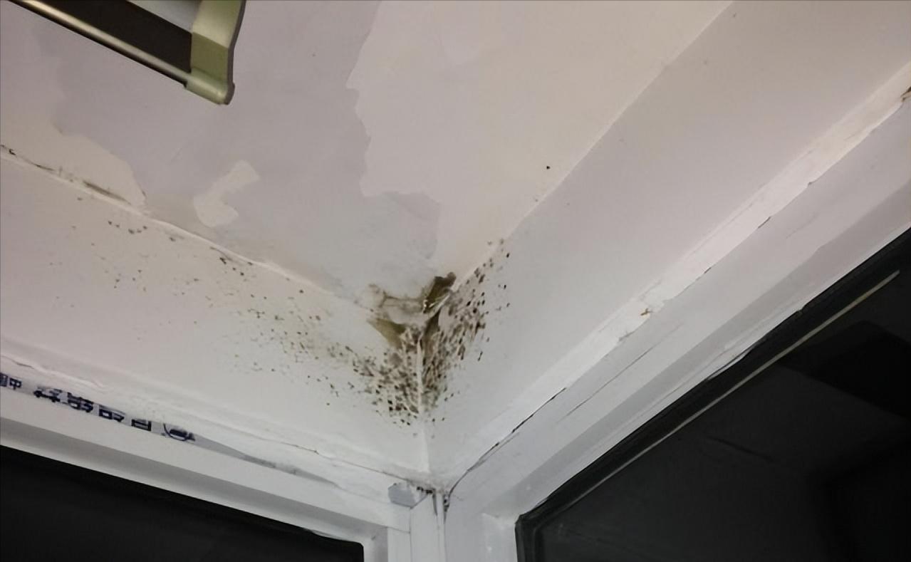 墙壁发黑发霉严重怎样处理掉,墙壁发霉变黑直接刷白可以吗