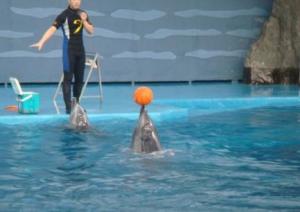 锦州到大连自驾游景点,大连排石自驾游免费景点