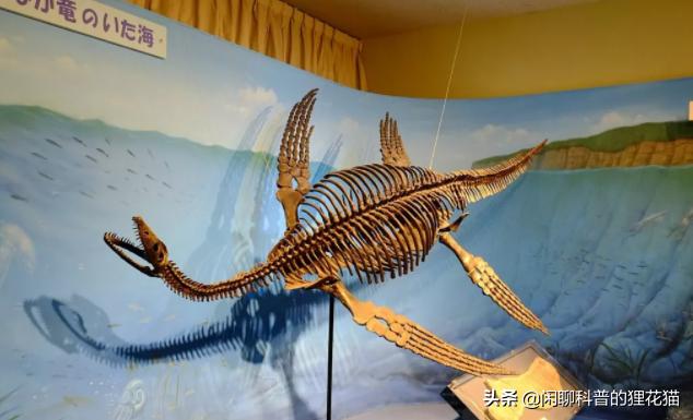 寒武纪三叶虫捕食者,十大最可怕的史前海洋巨兽