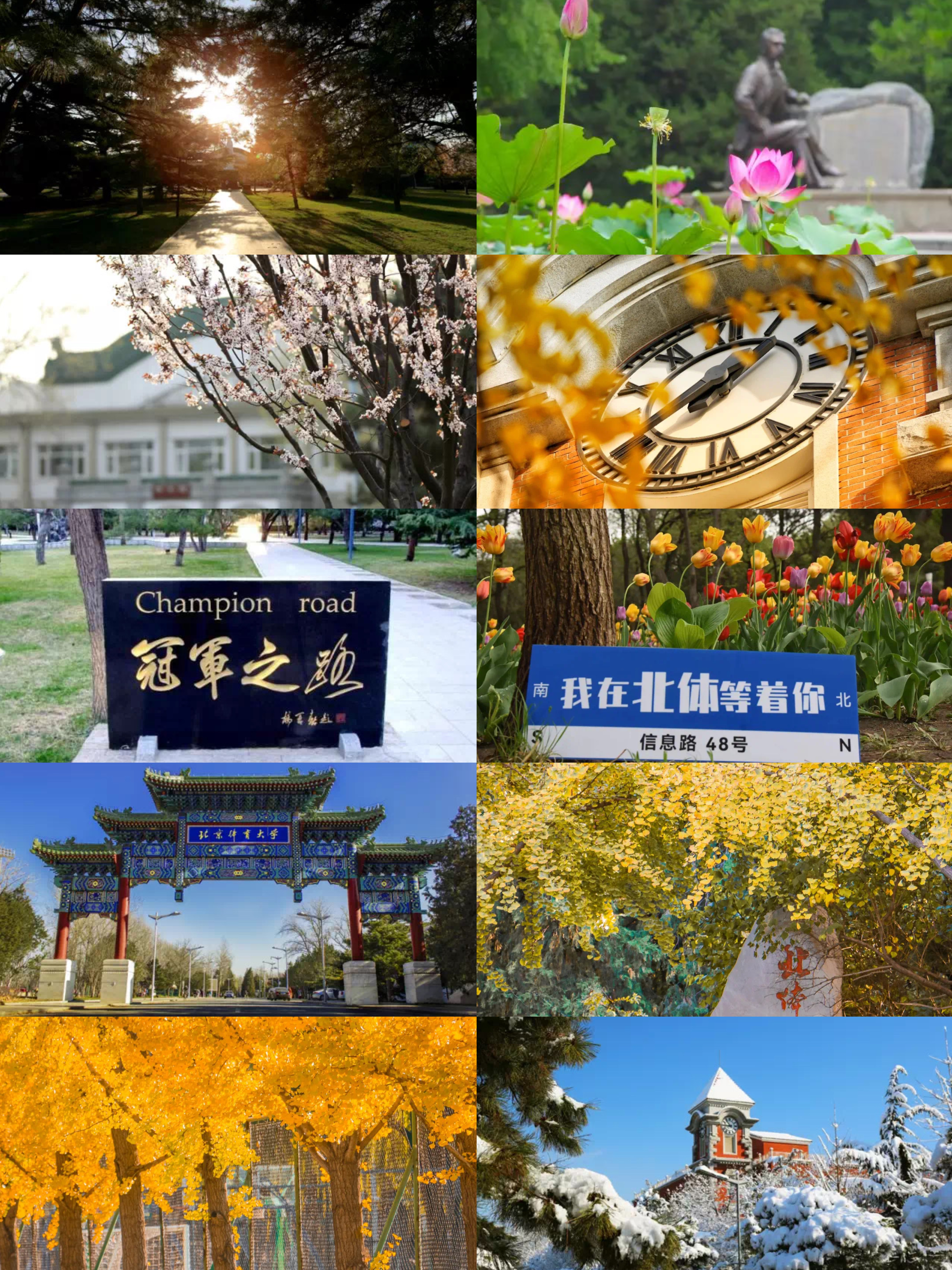 北京体育大学利与美,北京体育大学亚洲荷尔蒙