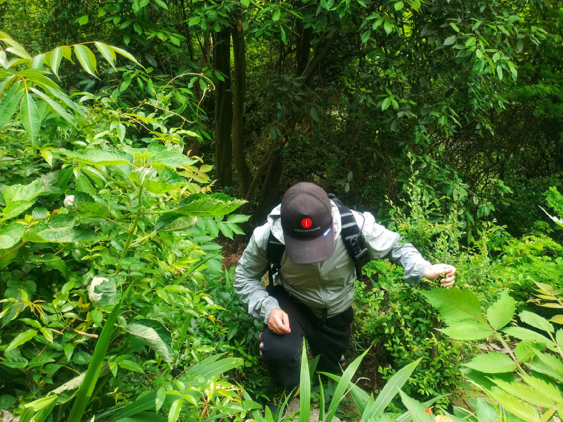 奈特科尔06驱蚊器,奈特科尔驱蚊器emr06