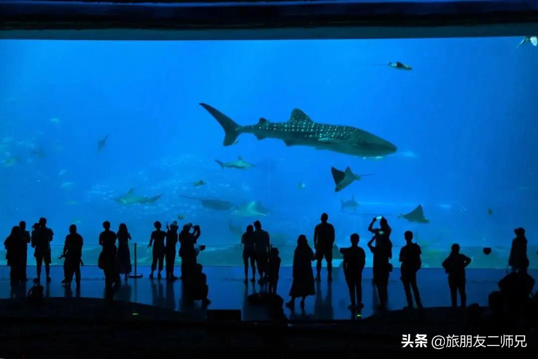 去珠海长隆海洋王国攻略三天两夜,珠海长隆海洋王国3天旅游攻略