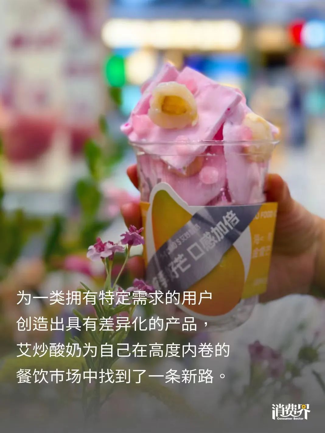 「艾炒酸奶」张文雷：产业升级会孕育一大批创业机会