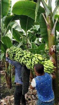 神回复：老鼠贴粘到的，吃了不会犯法吧？网友：自首，争取死缓